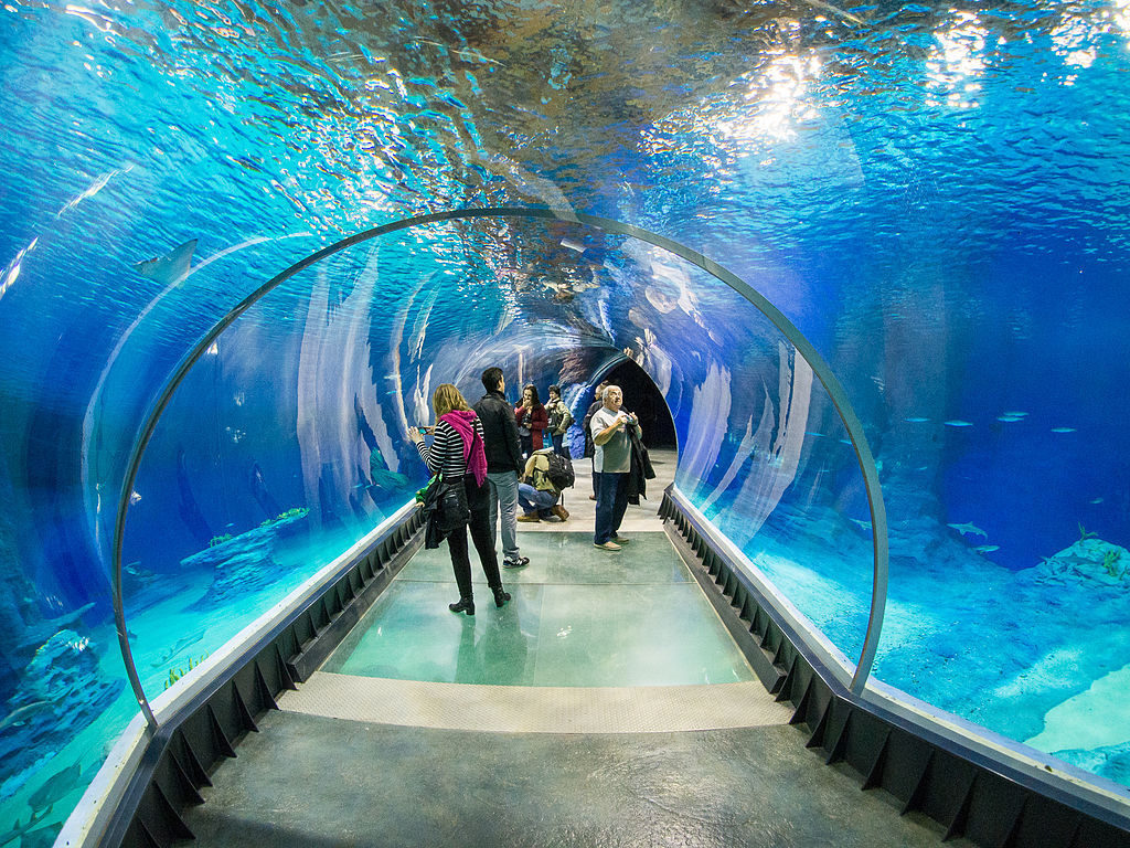 Unterwassertunnel in Afrikarium – Foto: Lower Silesia Quelle: wikimedia.org